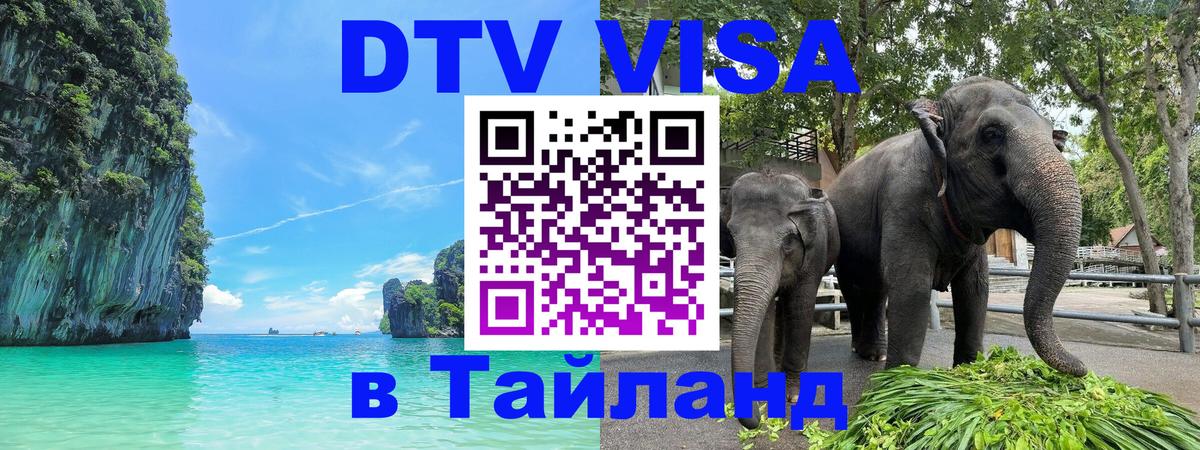 Оформление DTV визы под ключ: стоимость и тарифы, только загранпаспорт - 05.10.2025 